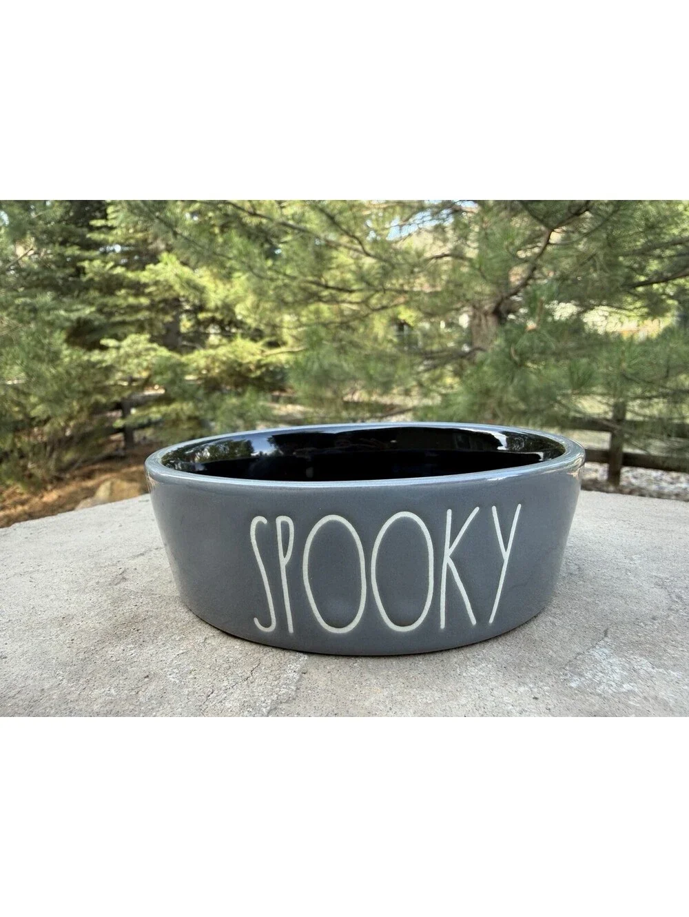 RAE DUNN HALLOWEEN PET BOWL SPOOKY Ghost Image Black Grey New